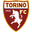 Torino U19 logo