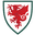 Wales U20 logo